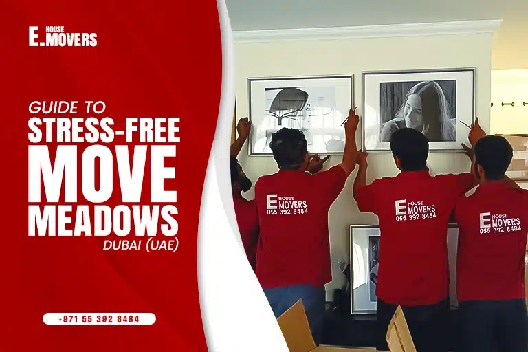 Movers and Packers in Meadows